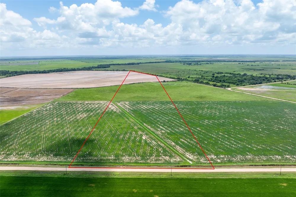 Cr 285 Lissie, TX 77454