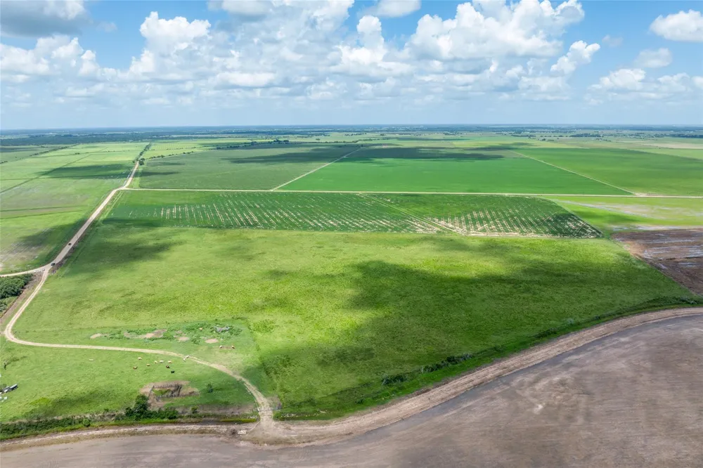 Cr 285 Lissie, TX 77454