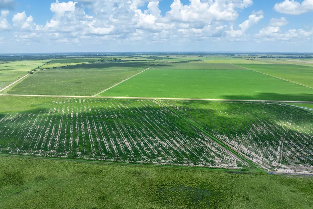 Cr 285 Lissie, TX 77454