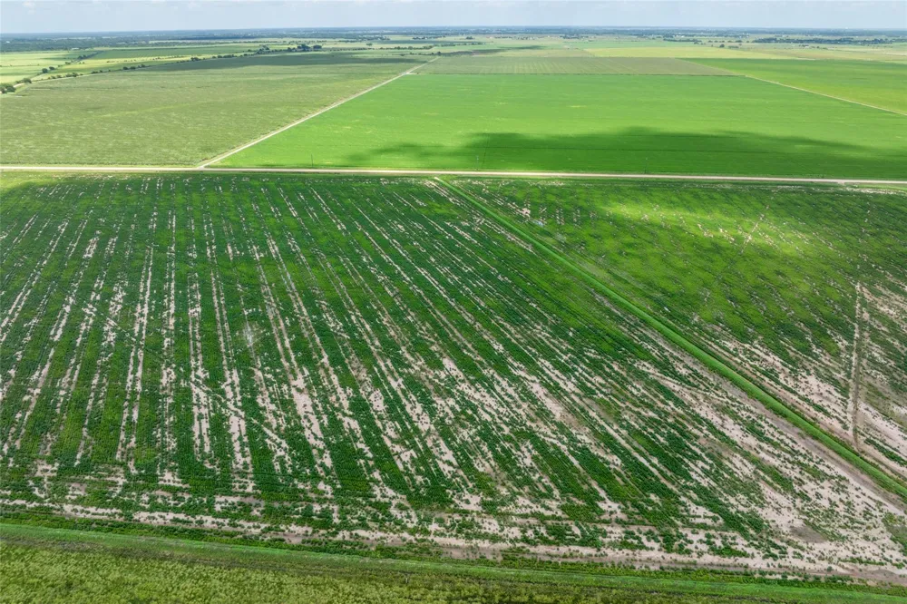 Cr 285 Lissie, TX 77454