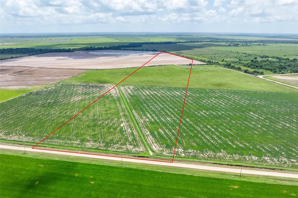Cr 285 Lissie, TX 77454