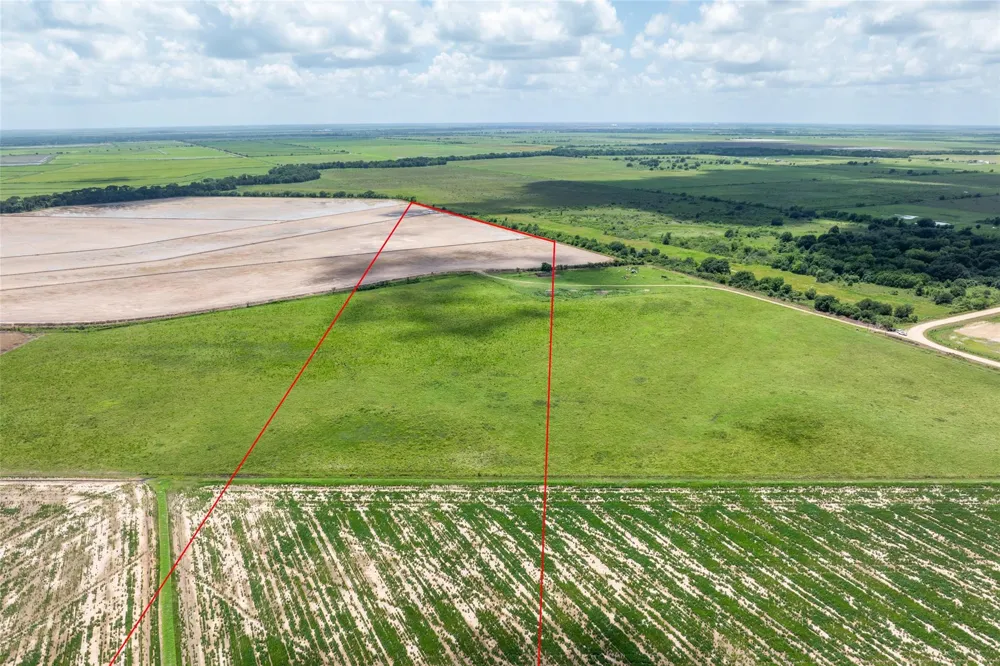 Cr 285 Lissie, TX 77454