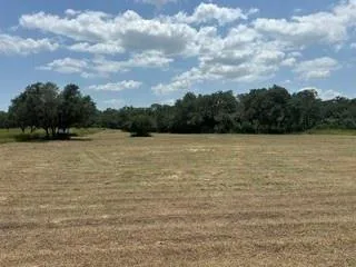Gadwall Lane
