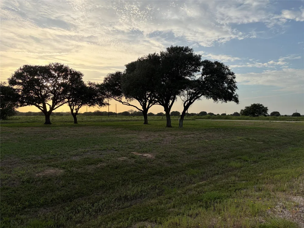 Gadwall Lane Columbus, TX 78934