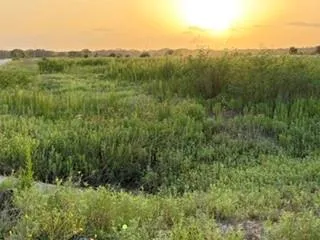 Gadwall Lane Columbus, TX 78934