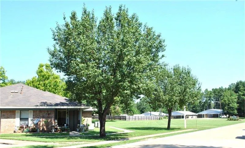 806 E Houston Street Queen City, TX 75572