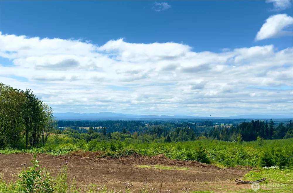 441 Schoen Road Silver Creek, WA 98585