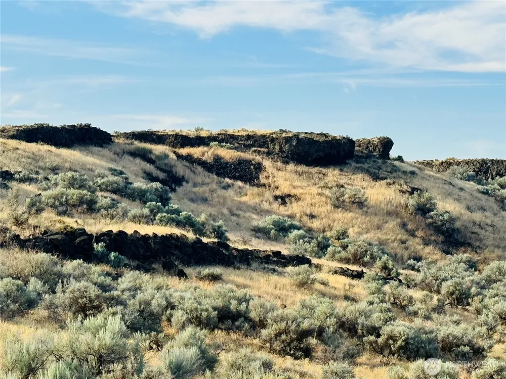 228 RD 15.5 NE Wilson Creek, WA 98860