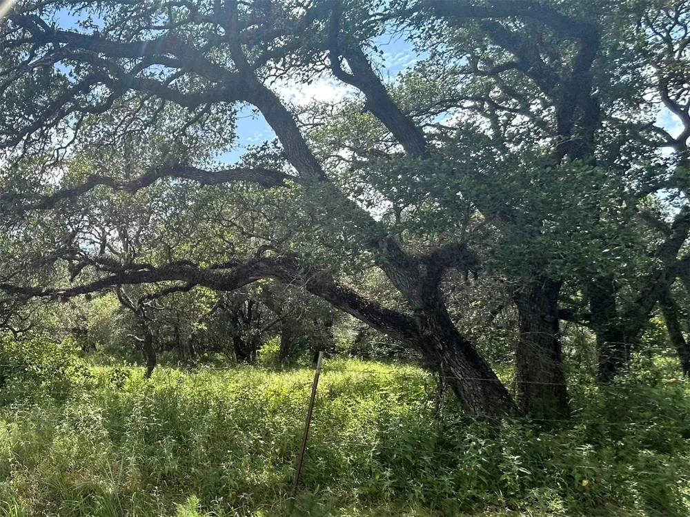 Sandy Creek Garwood, TX 77475