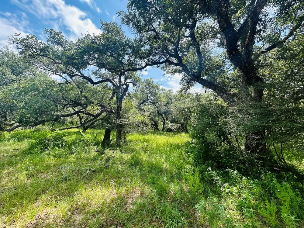 Sandy Creek Garwood, TX 77475