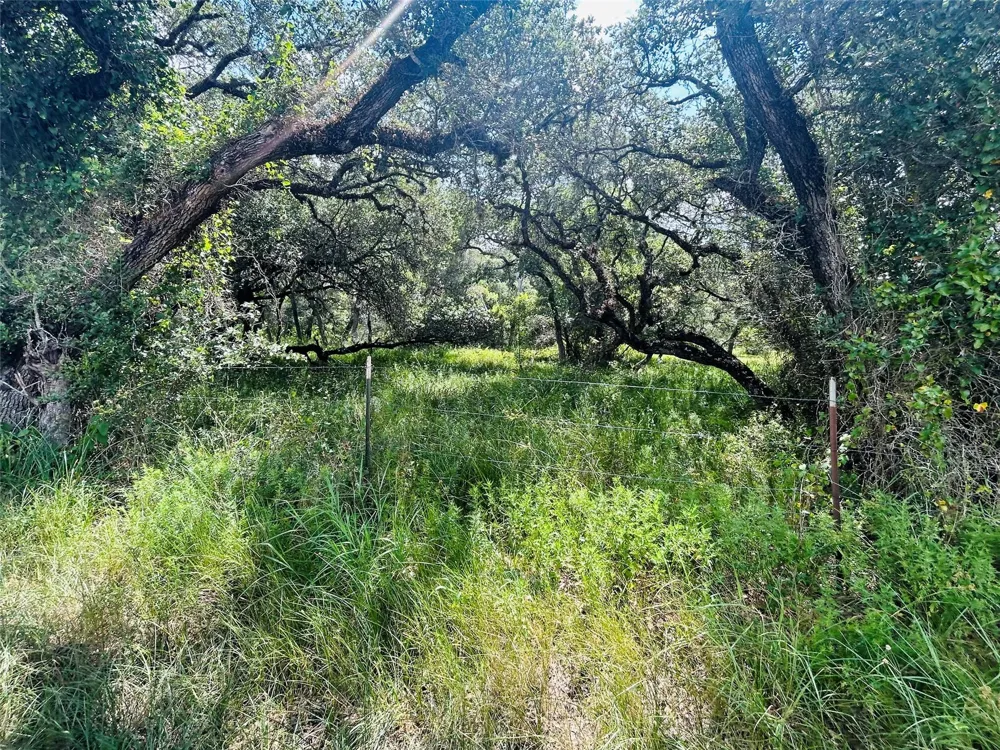 Sandy Creek Garwood, TX 77475