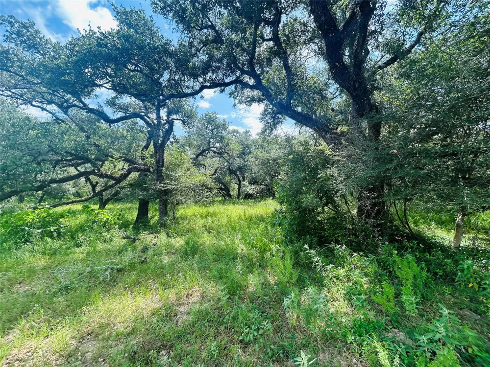 Sandy Creek Garwood, TX 77475