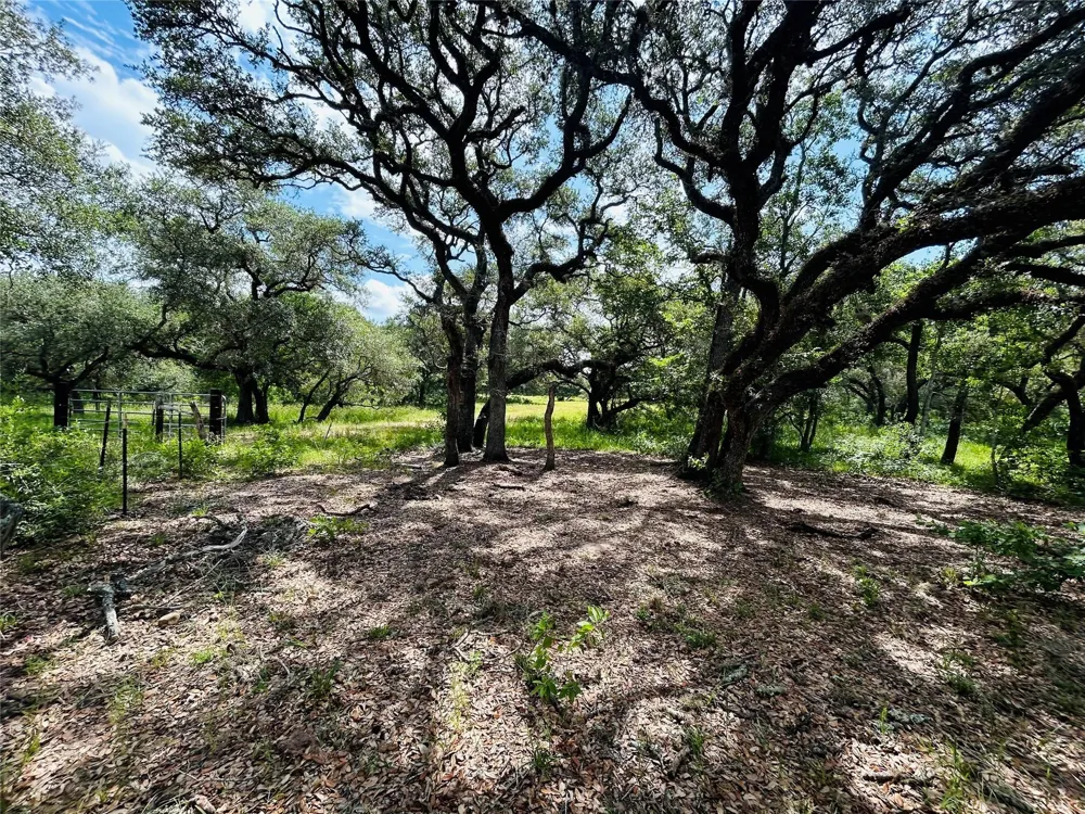 Sandy Creek Garwood, TX 77475