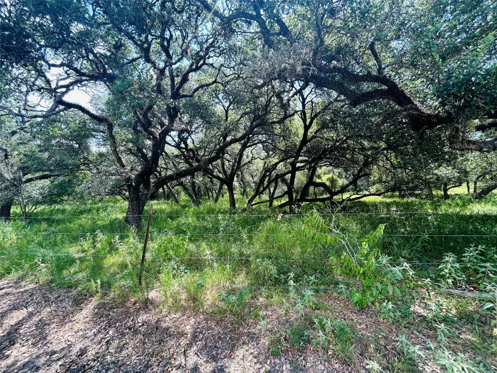 Sandy Creek Garwood, TX 77475