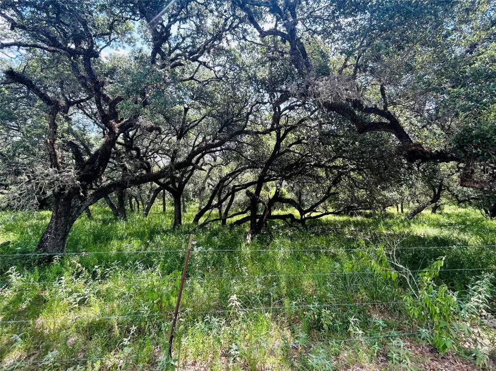 Sandy Creek Garwood, TX 77475
