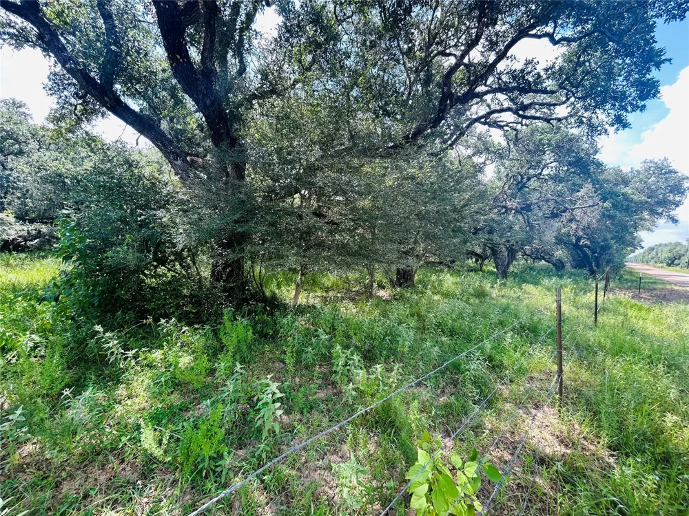 Sandy Creek Garwood, TX 77475