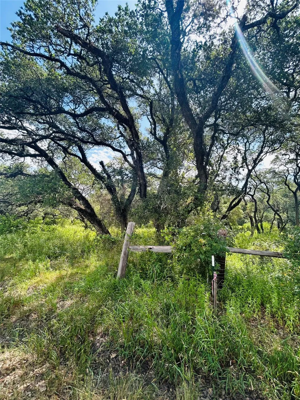 Sandy Creek Garwood, TX 77475
