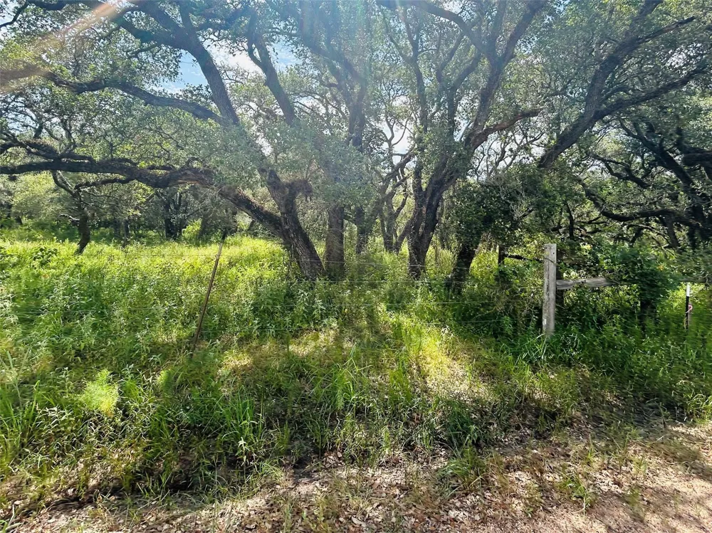 Sandy Creek Garwood, TX 77475