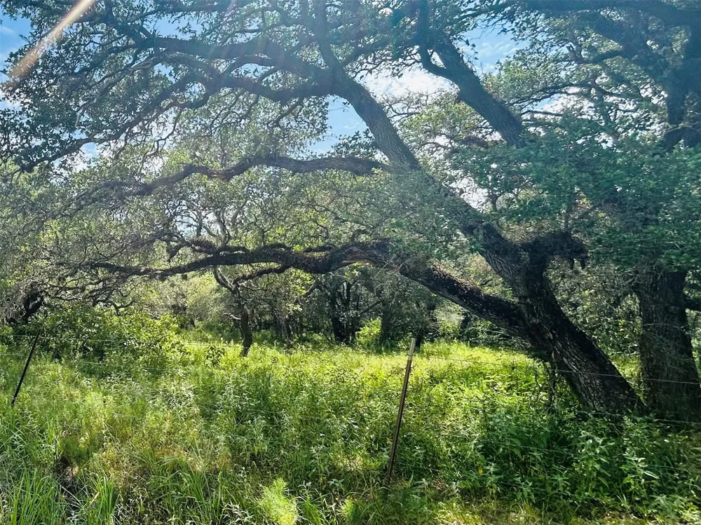 Sandy Creek Garwood, TX 77475