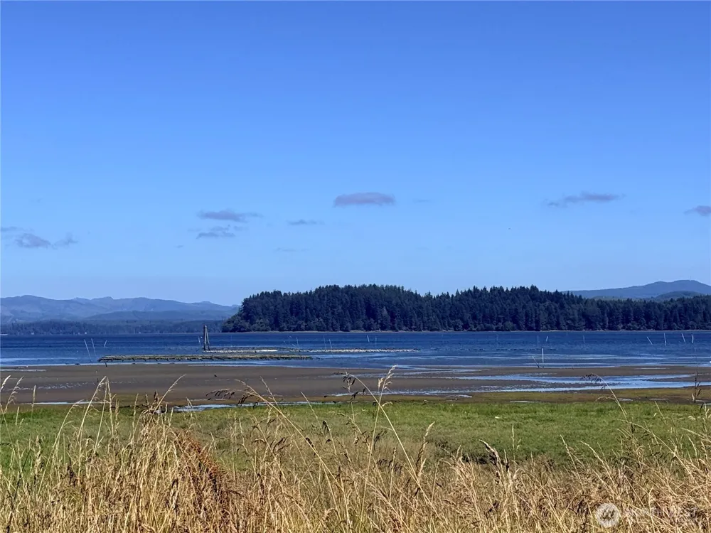 3307 281st Street Ocean Park, WA 98640