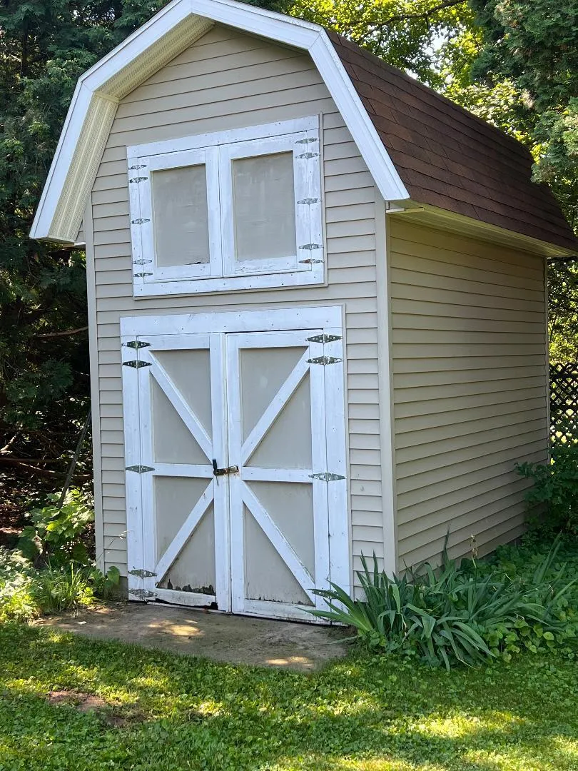 126 Johnson Street Edmore, MI 48829