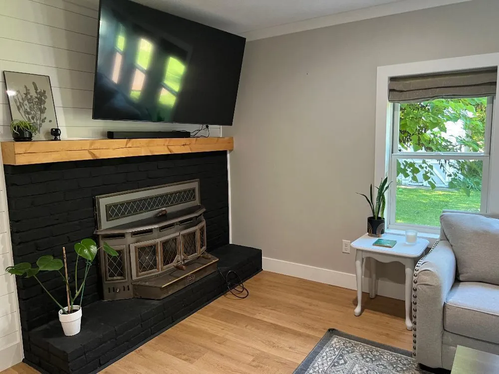 126 Johnson Street Edmore, MI 48829