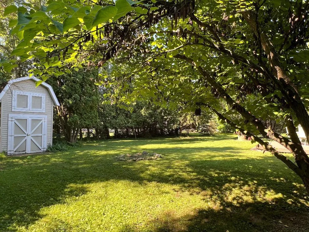 126 Johnson Street Edmore, MI 48829