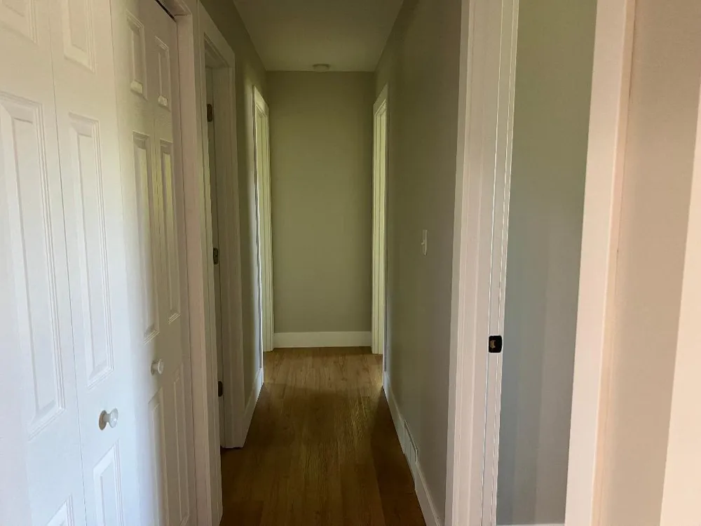 126 Johnson Street Edmore, MI 48829