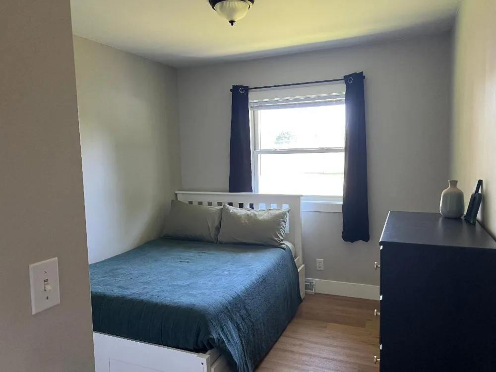 126 Johnson Street Edmore, MI 48829