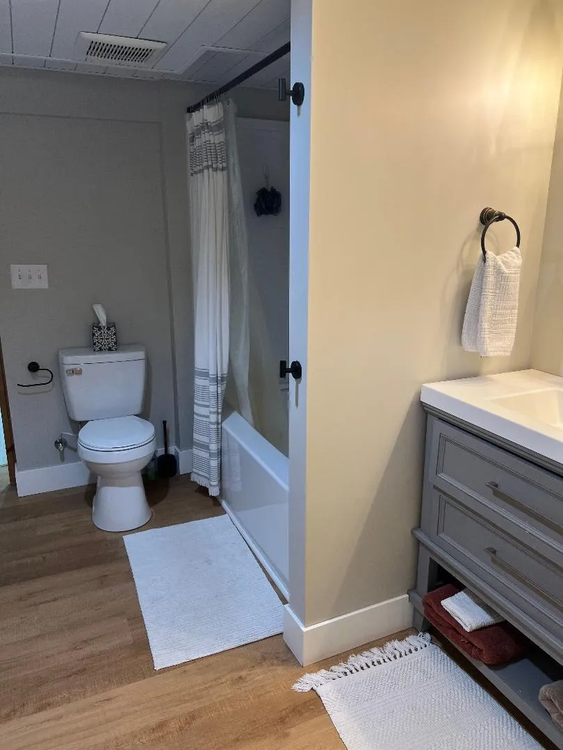 126 Johnson Street Edmore, MI 48829