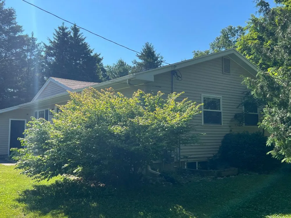 126 Johnson Street Edmore, MI 48829