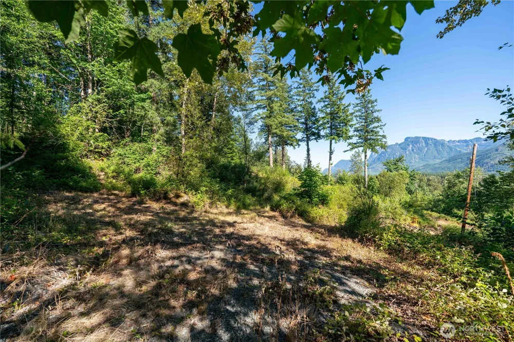 14405 399th Avenue SE Gold Bar, WA 98251