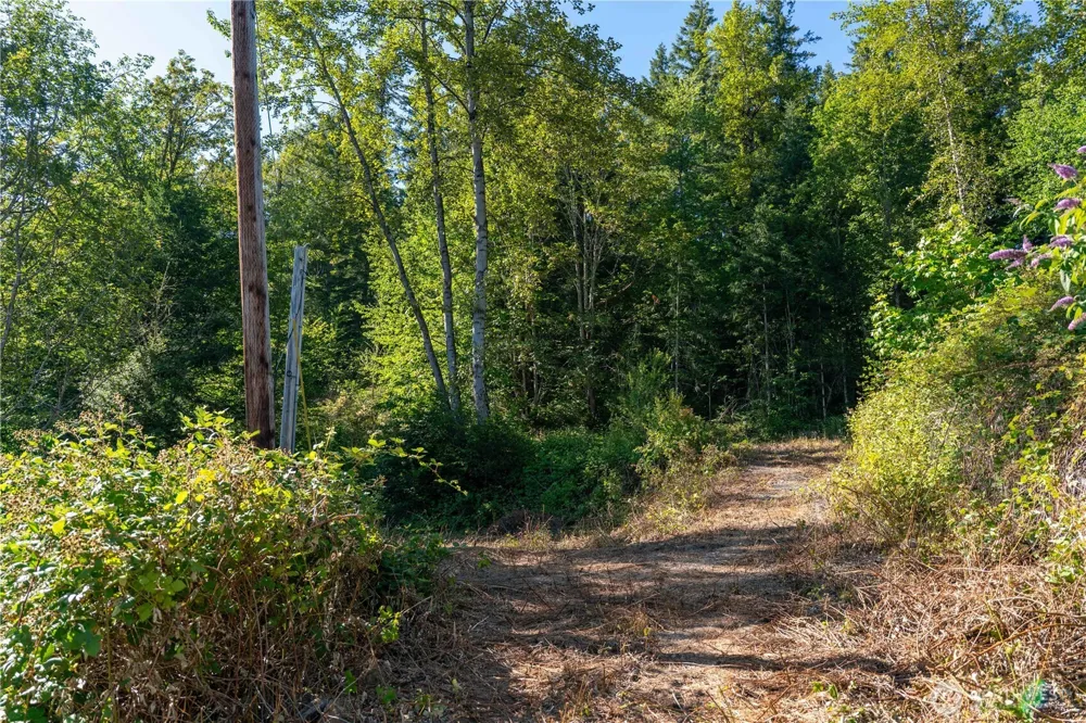 14405 399th Avenue SE Gold Bar, WA 98251