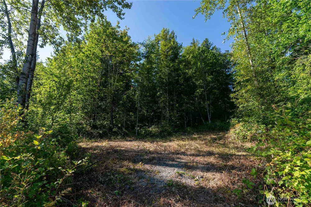 14405 399th Avenue SE Gold Bar, WA 98251