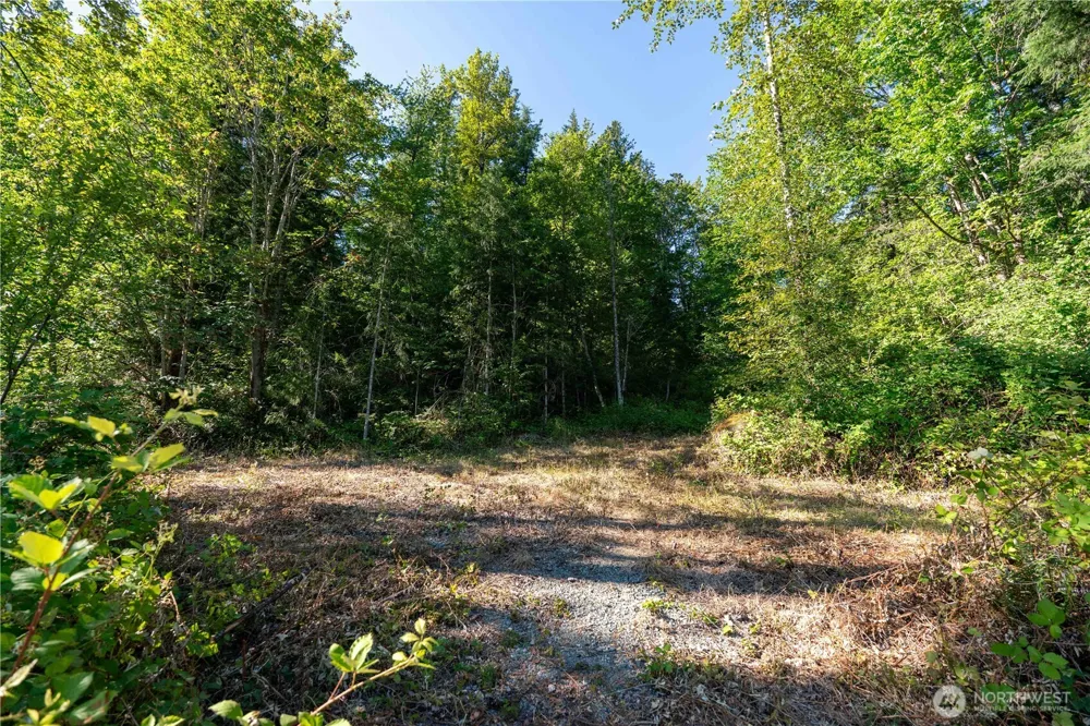 14405 399th Avenue SE Gold Bar, WA 98251