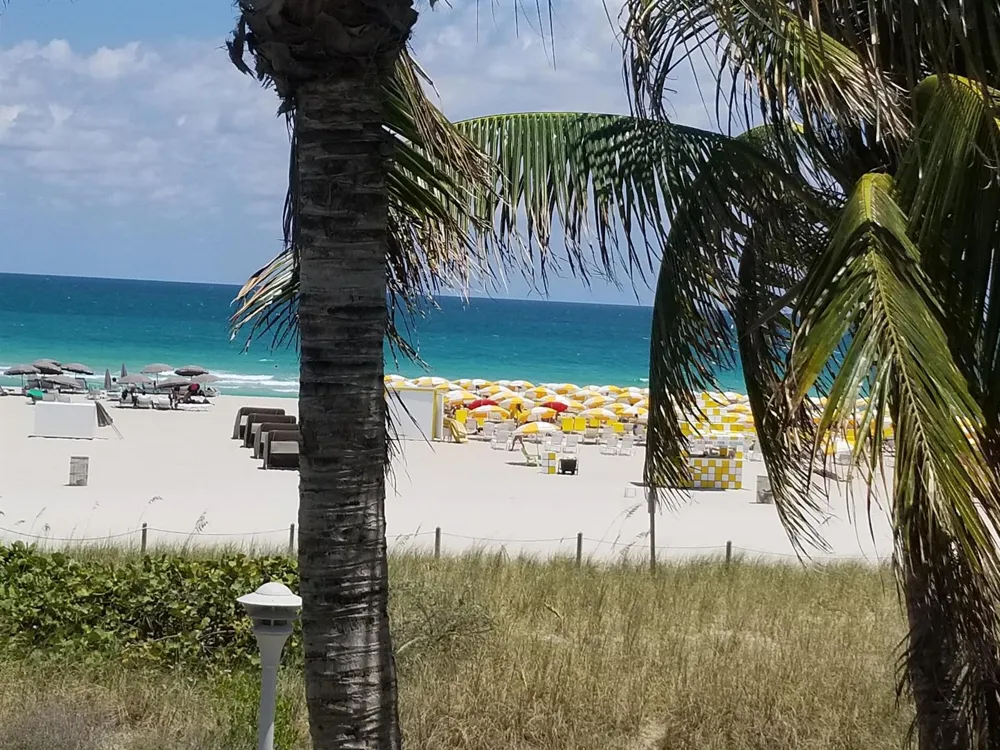 100 Lincoln Road #1524 Miami Beach, FL 33139