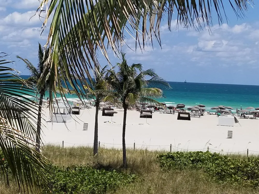 100 Lincoln Road #1524 Miami Beach, FL 33139