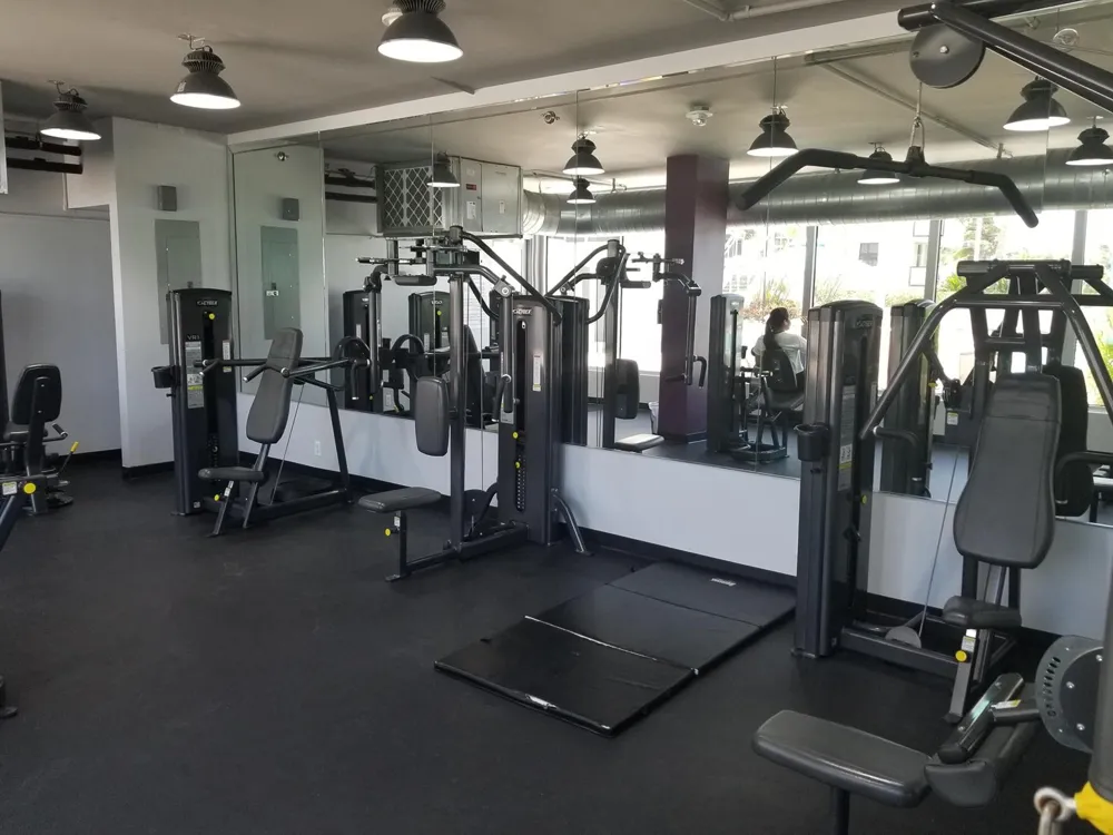100 Lincoln Road #1524 Miami Beach, FL 33139