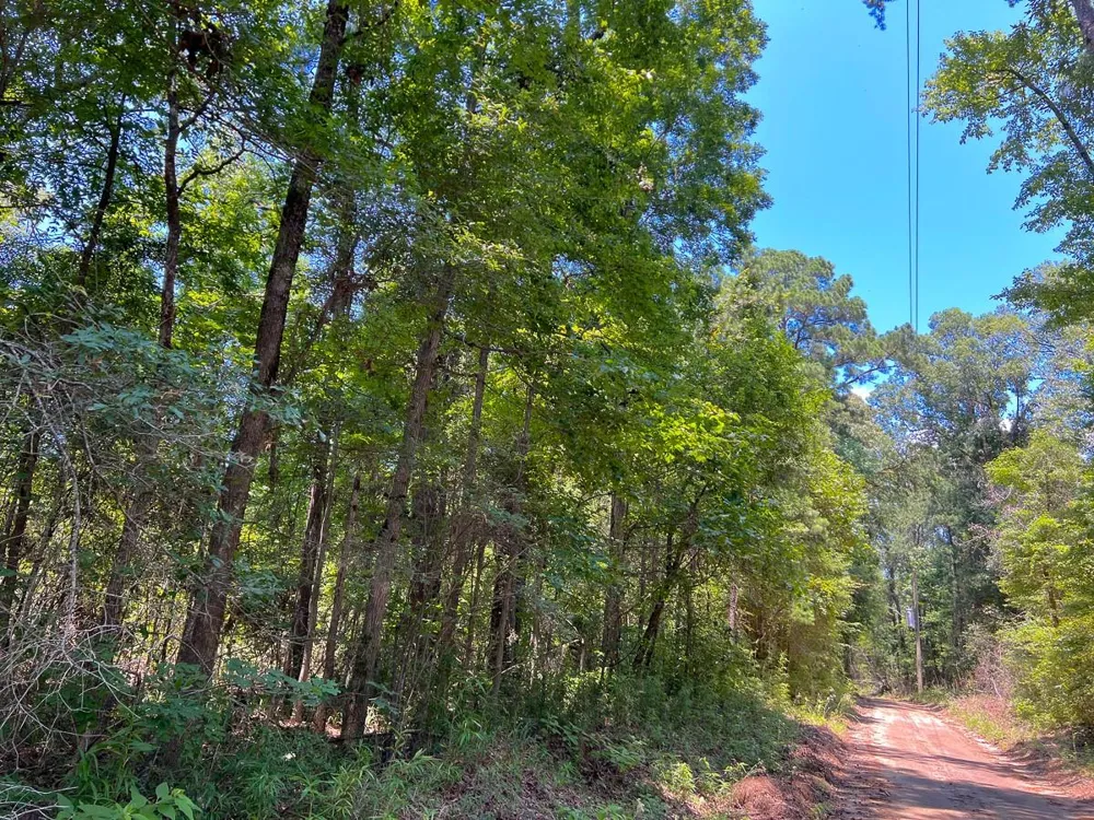 3 New Haven Road Milam, TX 75948
