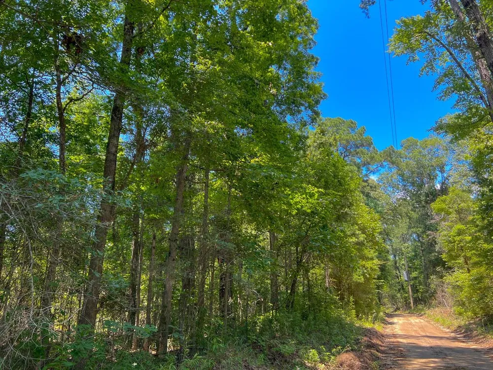 3 New Haven Road Milam, TX 75948