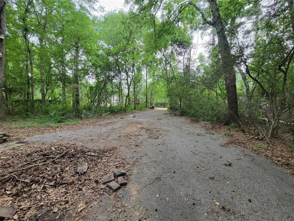 15734 Holly Dr Montgomery, TX 77356