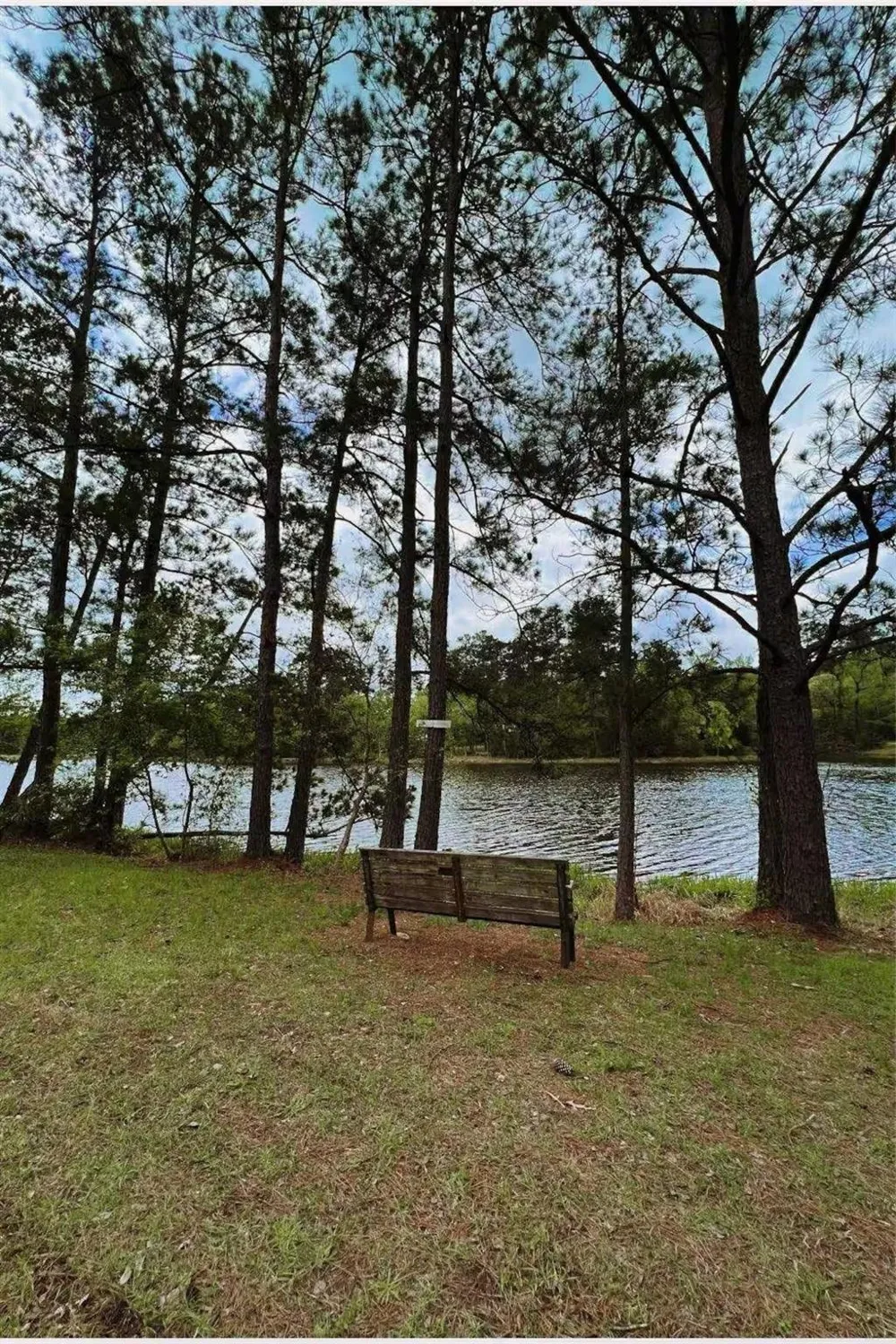 15734 Holly Dr Montgomery, TX 77356