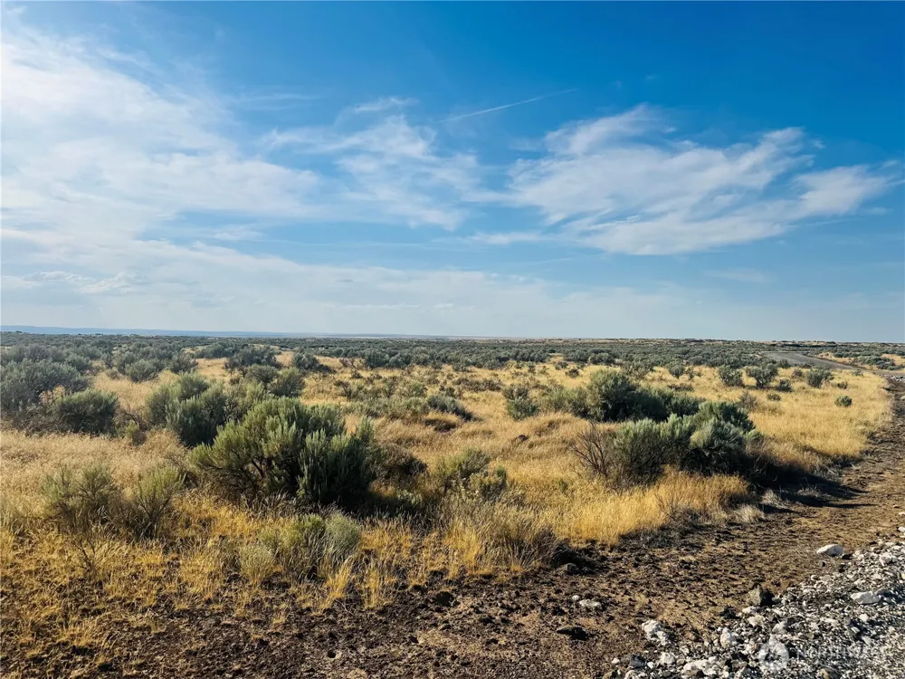 223 RD 0.3 NE Wilson Creek, WA 98860