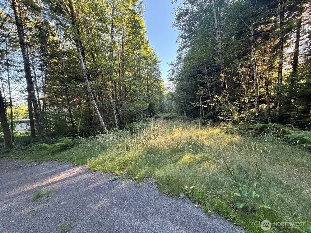 217 Ham Road Amboy, WA 98601