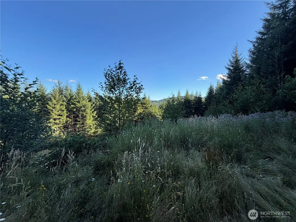 217 Ham Road Amboy, WA 98601