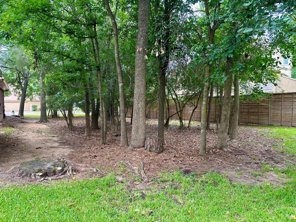 11534 Twain Drive Montgomery, TX 77356