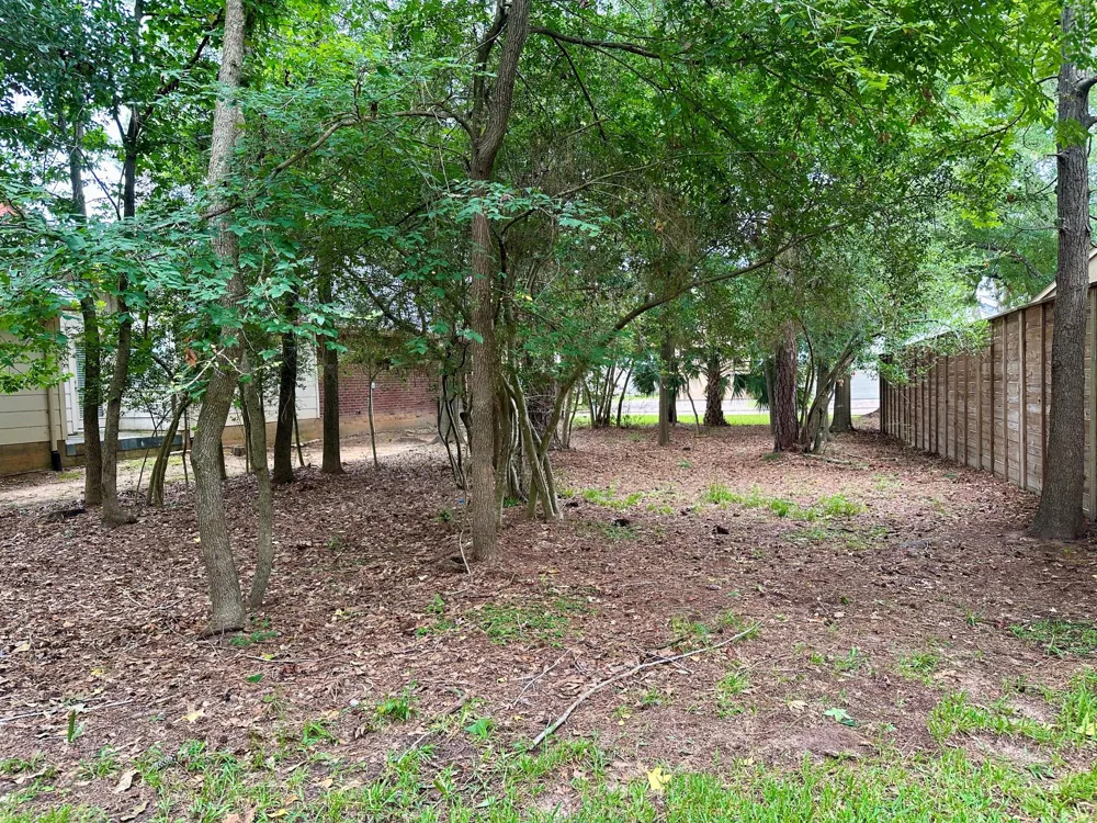11534 Twain Drive Montgomery, TX 77356