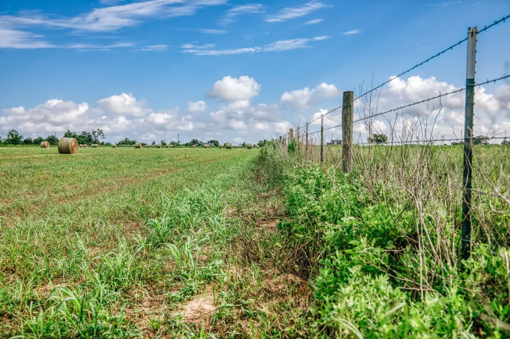 Richard Frey Road Waller, TX 77484