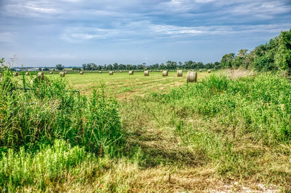 Richard Frey Road Waller, TX 77484