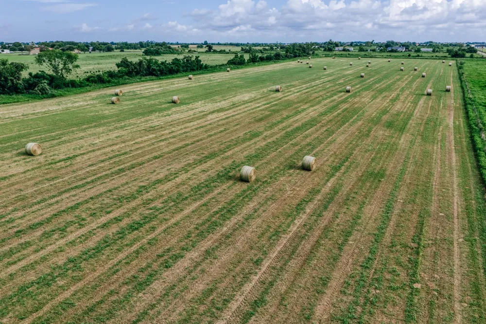 Richard Frey Road Waller, TX 77484